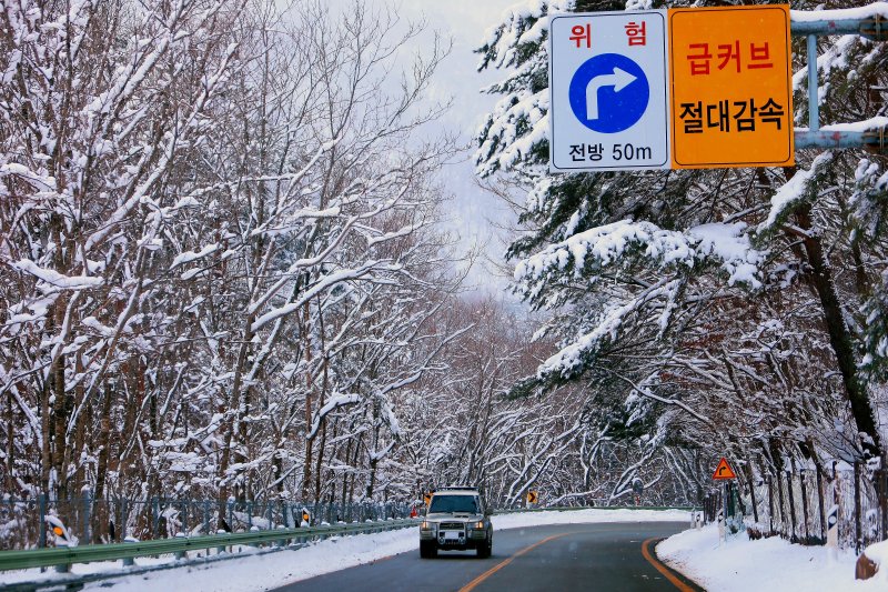 18일 강원 인제군 북면 한계령에 이틀 연속 내린 눈이 설경을 이루고 있다.(인제군 제공. 재판매 및 DB금지) 2025.3.18/뉴스1 ⓒ News1 이종재 기자