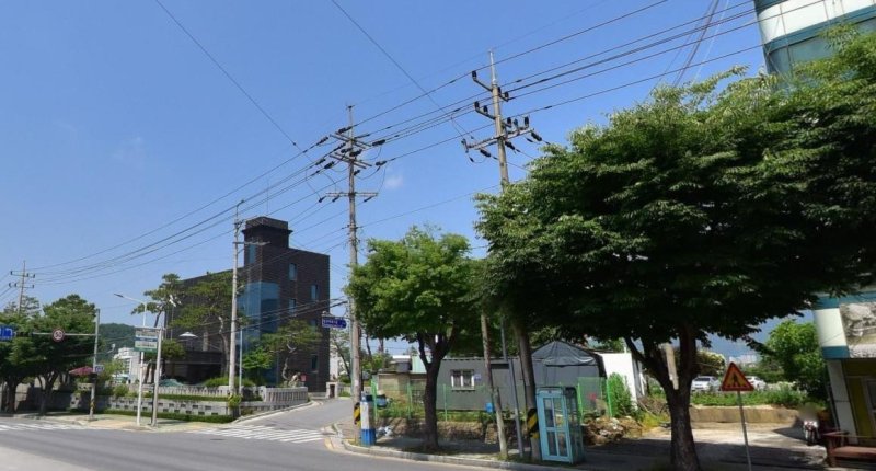 제천시 대제중 앞 도로의 전선.(제천시 제공, 재판매 및 DB 금지)/뉴스1