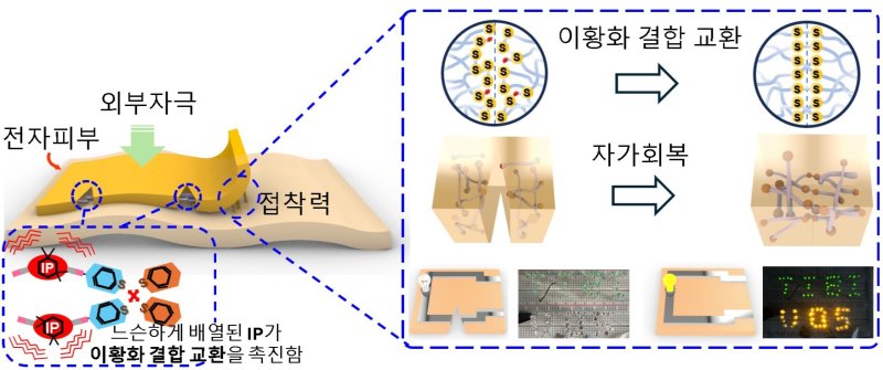 마찰과 찢어짐에도 10초 이내로 복구되는 초고속 자가치유 전자피부 기술 개념도.(한국연구재단 제공. 재판매 및 DB금지) /뉴스1