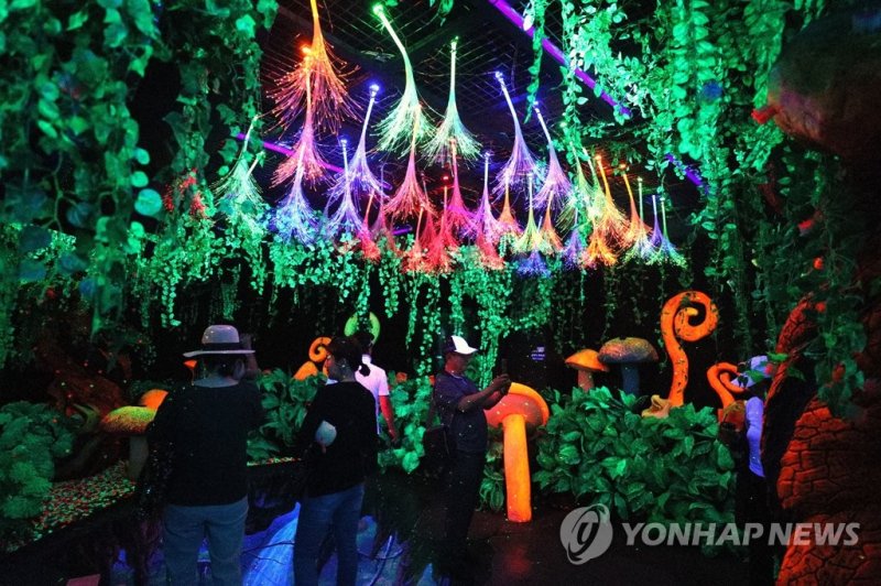 무주 반딧불축제서 판타지관 (출처=연합뉴스)