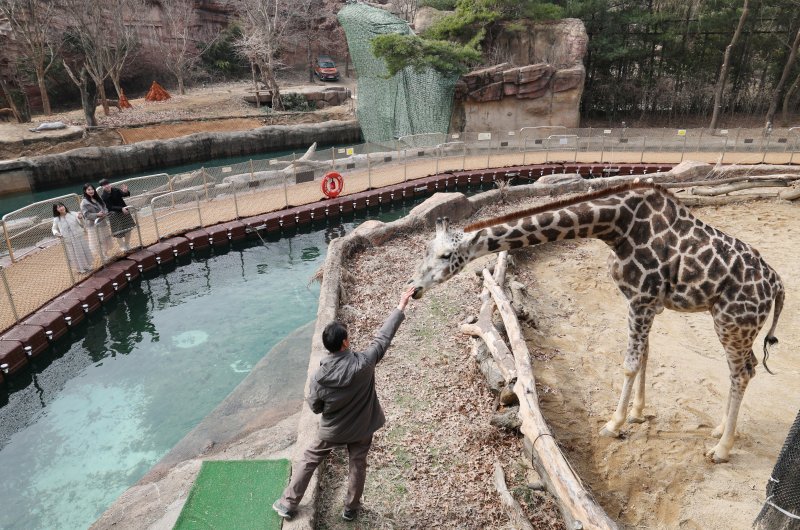 에버랜드가 새롭게 선보이는 사파리 도보 탐험 프로그램 '리버 트레일 어드벤처' 운영을 하루 앞둔 20일 오전 경기 용인시 처인구 에버랜드 사파리월드와 로스트밸리 사이 수로에 위치한 수상 부교에서 임직원들이 사전 체험을 하고 있다. 2025.3.20/뉴스1 ⓒ News1 김영운 기자