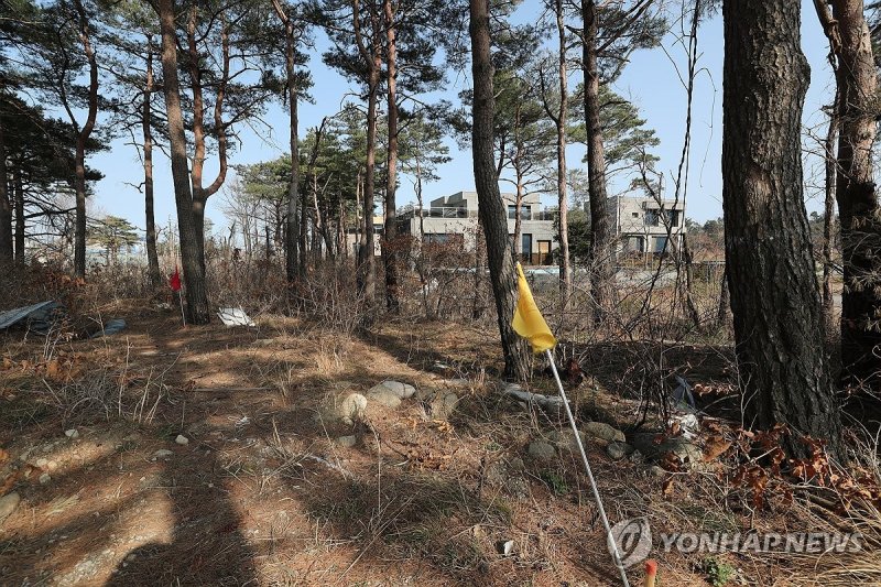 타운하우스 단지 옆에 꽂힌 노선 깃발 (출처=연합뉴스)