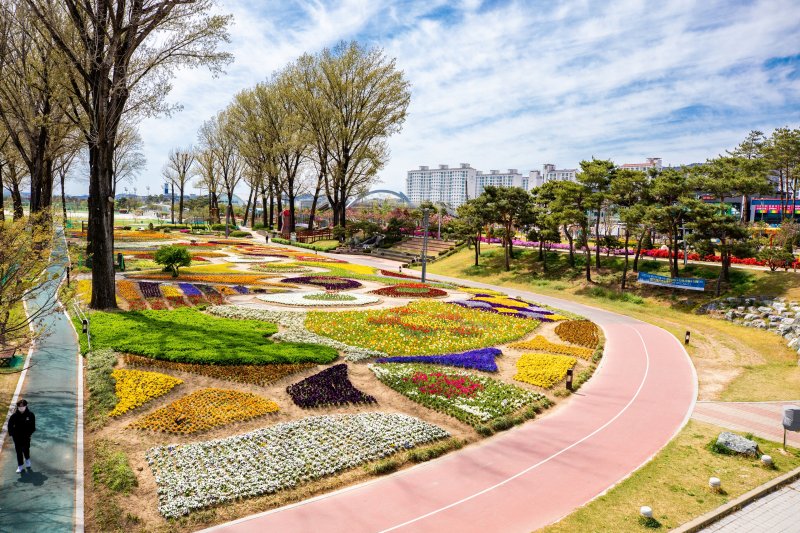 증평 보강천변 전경/뉴스1