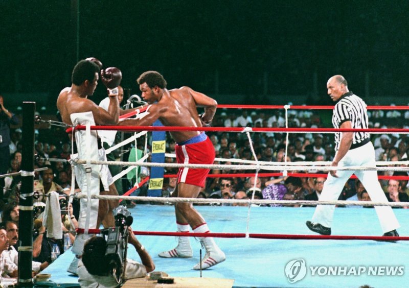 1974년 '정글의 대소동'에서 알리를 코너에 몰아 붙인 포먼(가운데) (출처=연합뉴스)