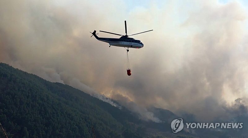 분주한 산불 진화 헬기 (출처=연합뉴스)