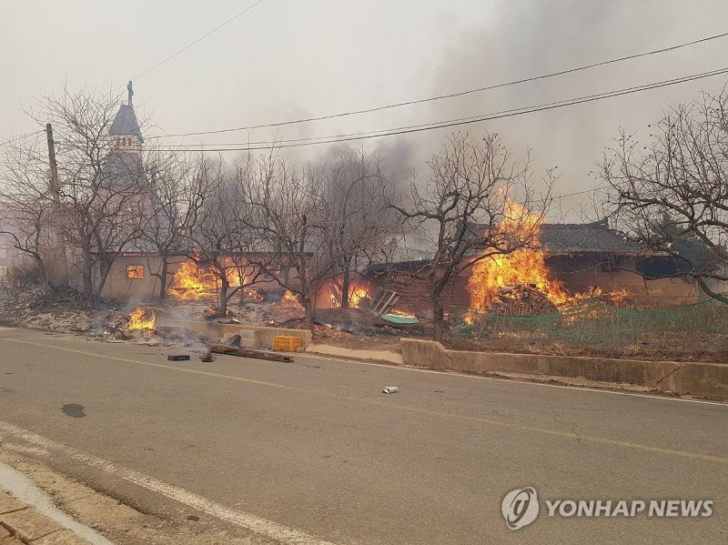 의성군 대형 산불 (출처=연합뉴스)