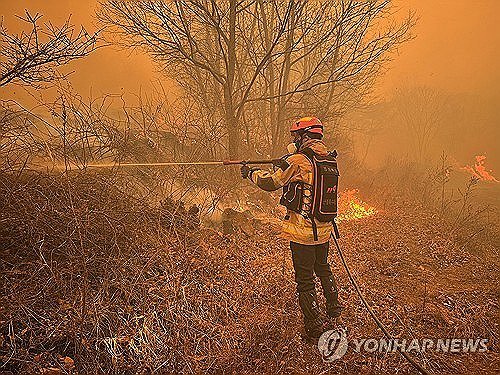 경북 의성 산불, 화재 진화 작업 펼치는 소방대원 (출처=연합뉴스)