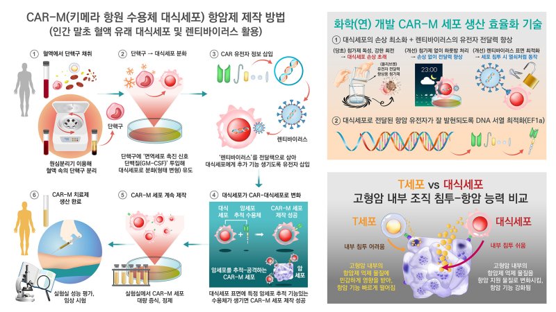 키메라항원 수용체 대식세포 생산 기술 개념도. (화학연 제공. 재판매 및 DB금지) /뉴스1