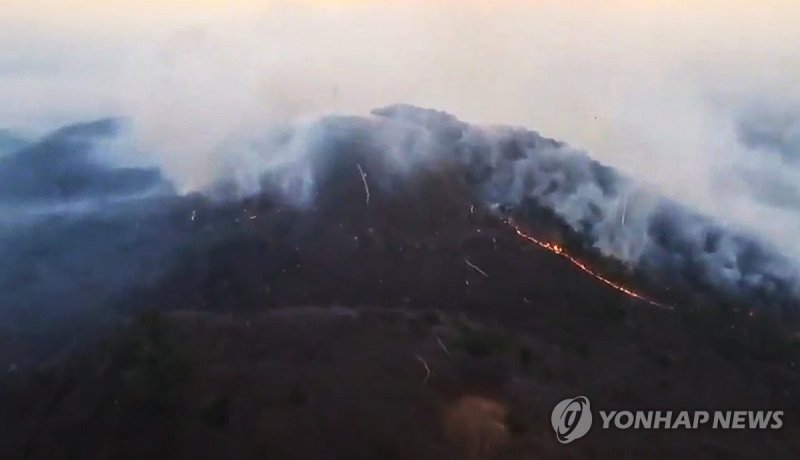 울산 울주군 온양읍 산불 현장 (출처=연합뉴스)