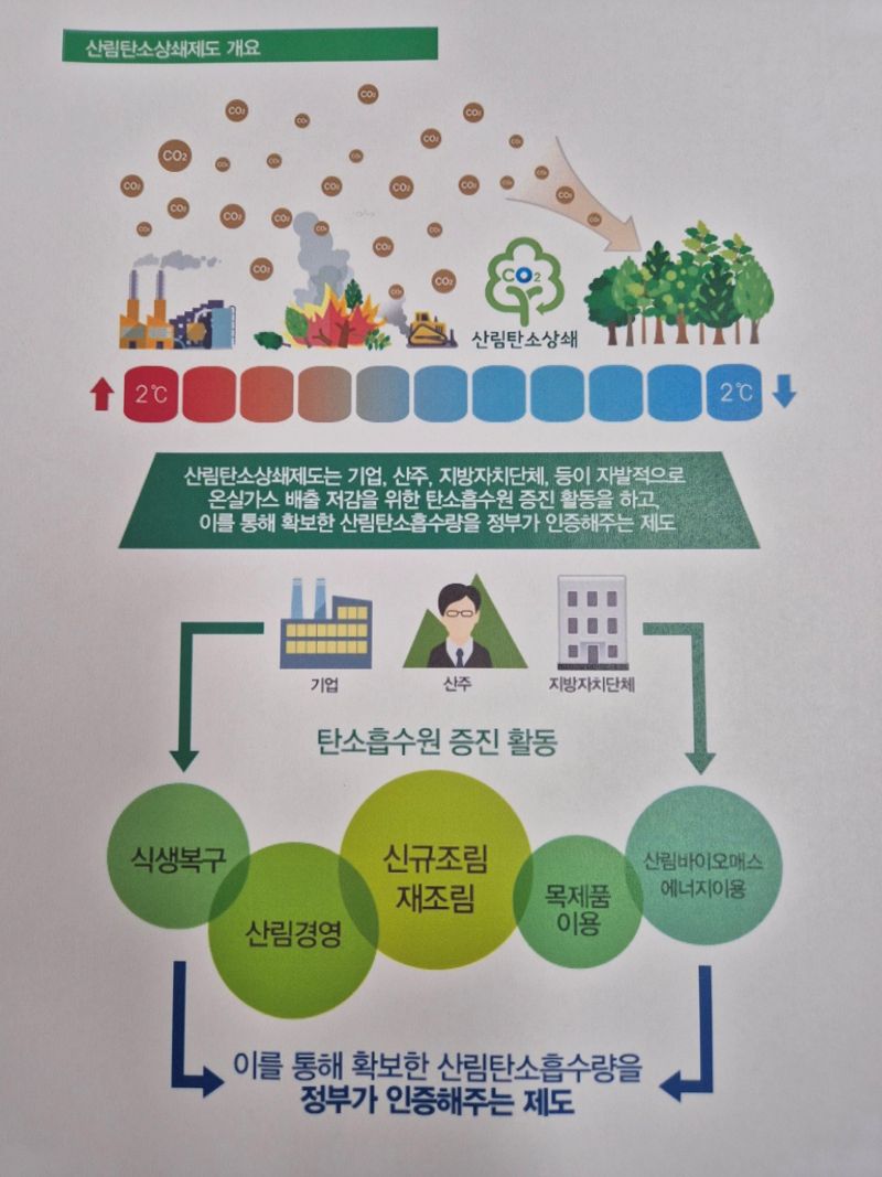 전남도는 기후변화 대응과 탄소중립 실현을 위해 올해도 산림탄소상쇄사업 등록 비용을 지원한다고 24일 밝혔다. 전남도 제공