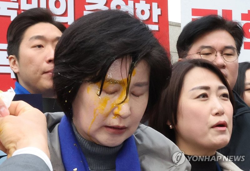 경찰 "'국회의원 계란 투척 사건' 피의자 특정 어려워...계속 수사 중"