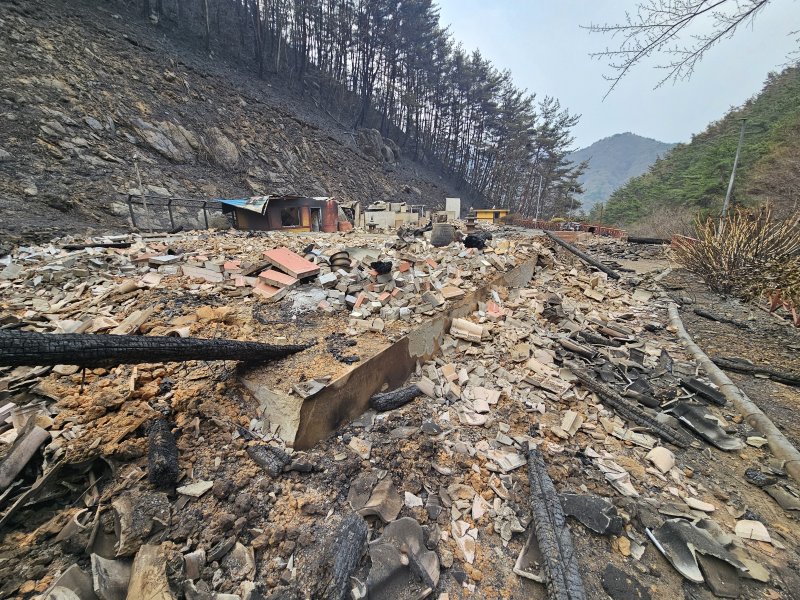 산청 성화사가 불에 타 사라졌다. 2025.3.24/뉴스1 한송학기자