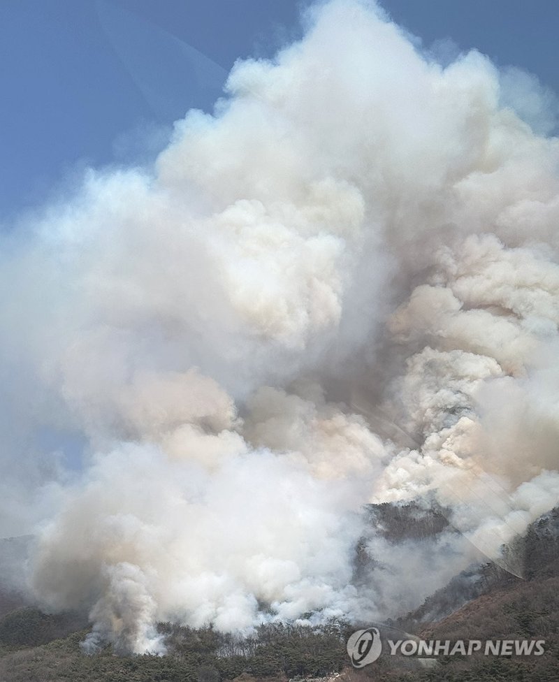 김해시 한림면 안곡리 야산서 산불 (출처=연합뉴스)