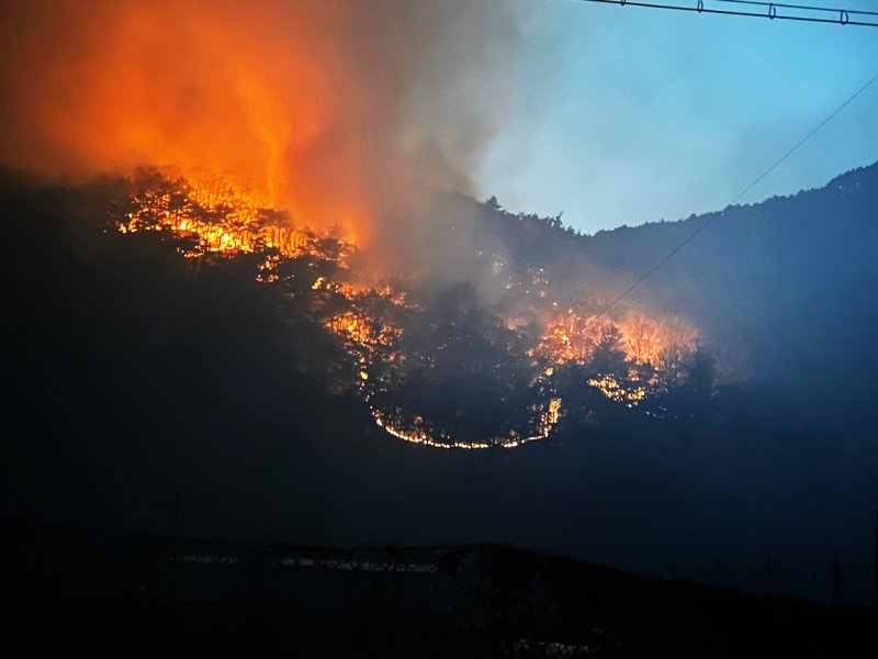 안동시, 길안면 산불 확산 방지 총력[전국산불]