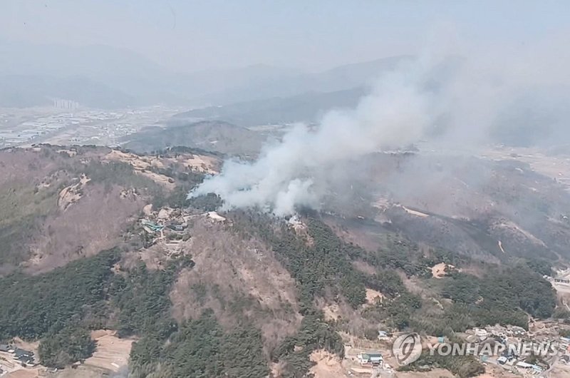 울산 울주군 언양읍 산불 (출처=연합뉴스)