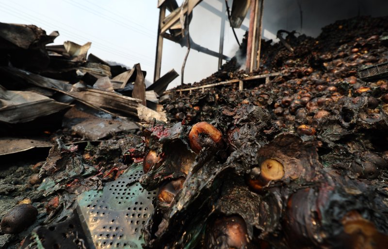 [의성=뉴시스] 이무열 기자 = 경북 의성군 산불 발생 이틀째인 23일 의성읍 한 농산물 선별센터가 산불로 전소돼 있다. 2025.03.23. lmy@newsis.com