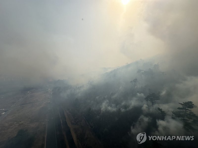 언양 산불 현장 (출처=연합뉴스)