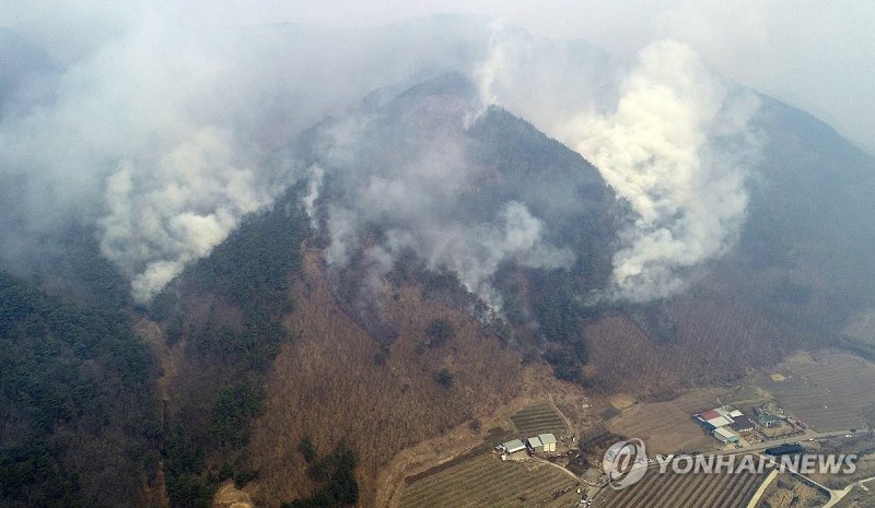 안동으로 번진 산불 (출처=연합뉴스)
