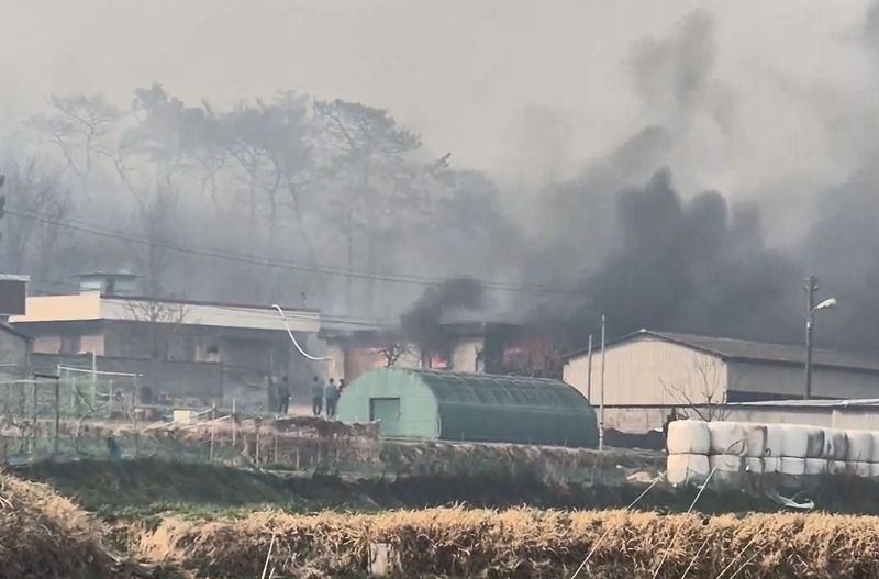 울산 언양 산불 민가와 축사 덮쳐.. 2000가구 대피[전국산불]