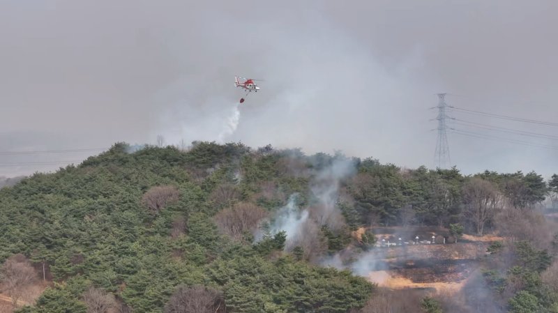 [당진=뉴시스] 25일 오후 2시38분께 충남 당진시 순성면 갈산리에서 발생한 산불 진화를 위해 소방헬기가 발생지점에 물을 뿌리고 있다. (사진=당진시 제공) 2025.03.25. photo@newsis.com *재판매 및 DB 금지