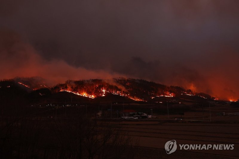 불타는 안동 남선면 야산 (출처=연합뉴스)