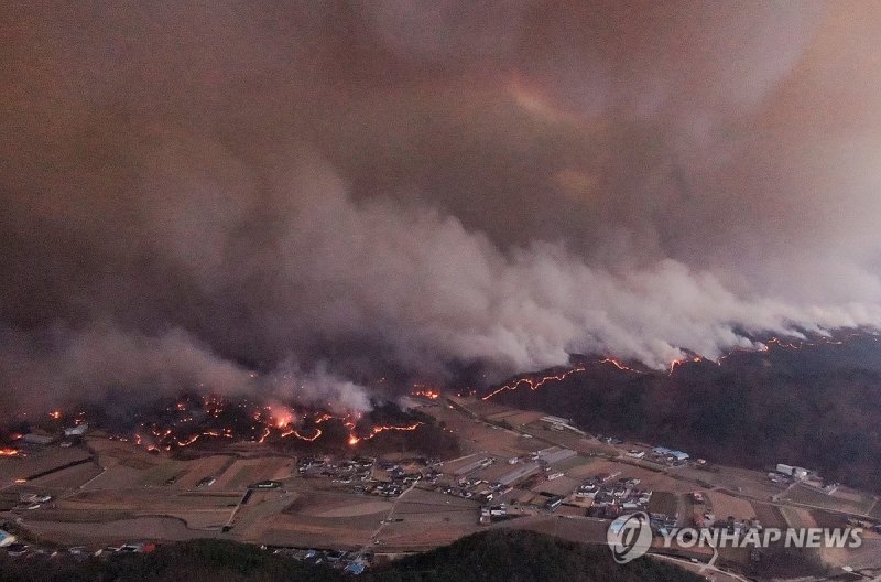 안동 산불 (출처=연합뉴스)