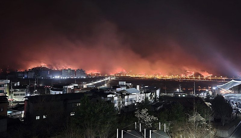 산불 우려 국립경국대 안동캠퍼스 28일까지 휴업[전국산불]