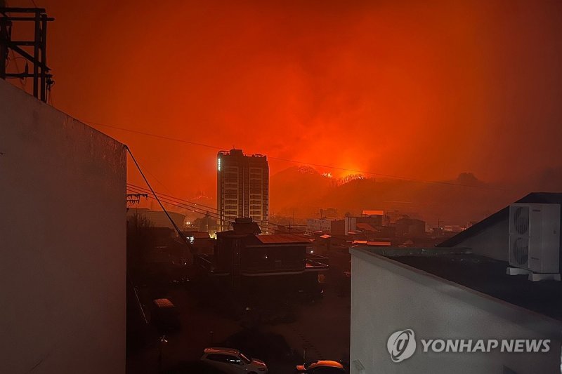 의성 산불 경북 북동부 아비규환…안동·청송·영양·영덕서 15명 사망(종합)