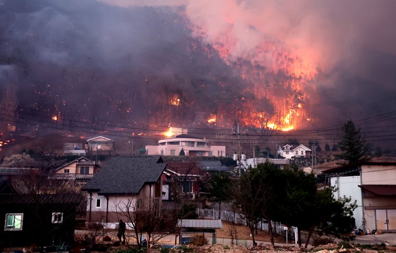 [안동=뉴시스] 이무열 기자 = 경북 의성군 산불 발생 나흘째인 25일 산불이 안동시 남후면 광음리 마을 인근까지 번지고 있다. 2025.03.25. lmy@newsis.com