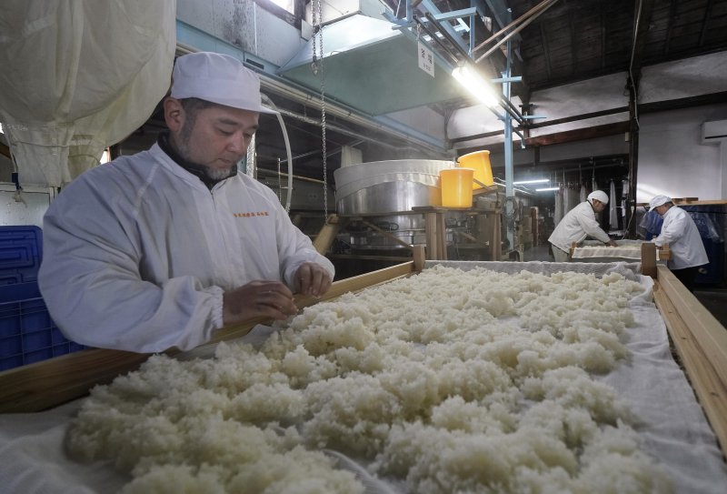 [나가이(야마가타현)=AP/뉴시스] 사진은 지난해 7월 30일 일본 북동부 야마가타현 나가이시에 있는 사케 양조장에서 쌀을 식히는 모습. 2024.07.30.