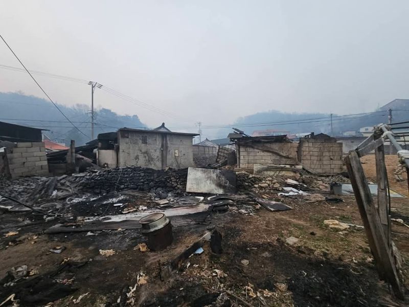 의성 산불의 화마를 피해지 못해 불타버린 청송군 파천면 모습. 독자제공