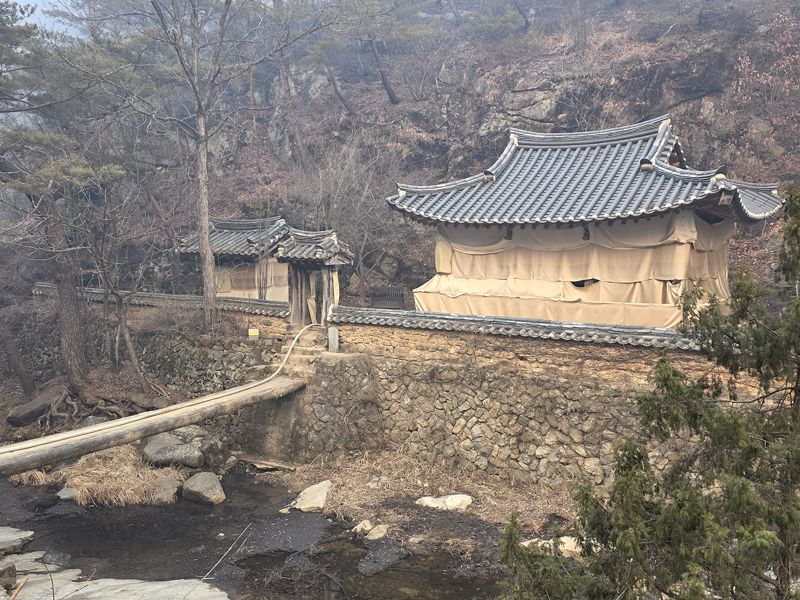 안동 만휴정·묵계서원·영양 만지송, 의성 산불 화마 피해[전국산불]