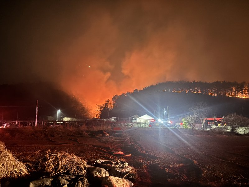 지난 22일 울산시 울주군 온양읍 대운산 부근에서 발생한 산불이 강한 바람을 타고 재확산 중이다. 당국은 이날 오후 8시20분께 신기, 외광, 내광, 중광, 외고산, 중고산, 내고산, 양달, 귀지, 상대마을 등 10개 마을 주민들에게 대피 안내 문자를 발송했다. (독자제공. 재판매 및 DB금지)2025.3.25/뉴스1 ⓒ News1 김지혜 기자
