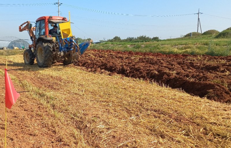 [정읍=뉴시스] 사진은 지난해 5월 3일 정읍시 영원면 장재리 일원 농가에서 사료용 옥수수가 파종되고 있는 모습. 2024.05.03. photo@newsis.com *재판매 및 DB 금지