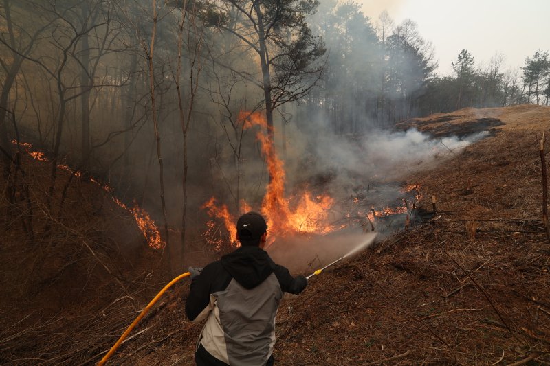 26일 오후 경북 영양군 입암면 방전리 일대 야산에서 불이나 의용소방대원들이 산불 진화를 하고 있다. 2025.3.26/뉴스1 ⓒ News1 김영운 기자
