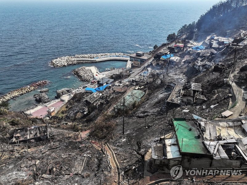 영덕 바다에 닿은 의성 산불 (출처=연합뉴스)