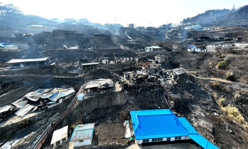 [영덕=뉴시스] 이무열 기자 = 26일 경북 영덕군 영덕읍 석리 마을이 산불로 전소돼 폐허가 되어 있다. 2025.03.26. lmy@newsis.com