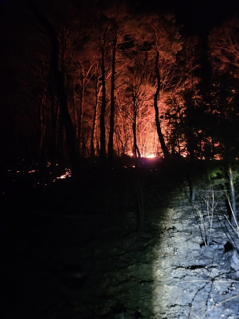 '담뱃불 때문에'…순창 임야 3㏊ 태워