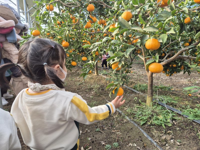 [대전=뉴시스] 조명휘 기자 = 최우수 농촌체험휴양마을로 선정된 대전 중구 무수천하마을에서 어린이들이 체험프로그램을 즐기고 있다. (사진= 중구청 제공) 2024.01.19. photo@newsis.com *재판매 및 DB 금지