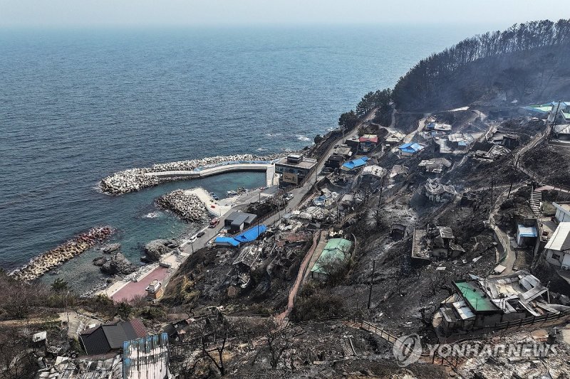 영덕 바다에 닿은 의성 산불 (출처=연합뉴스)