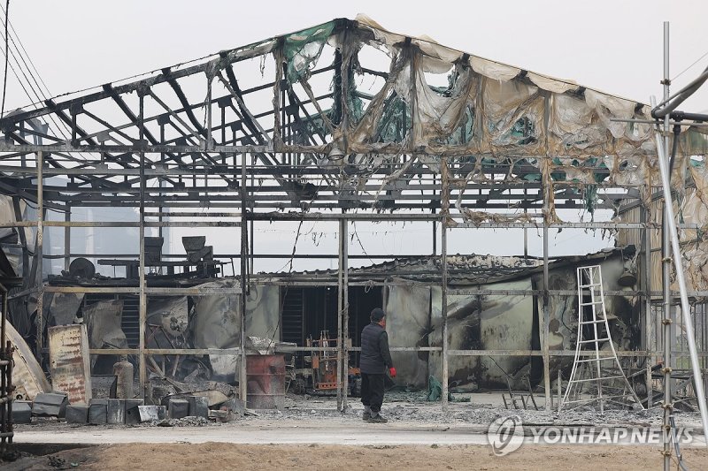 산불에 뼈대만 남은 육묘장 (출처=연합뉴스)