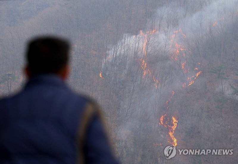 기대한 비는 안 오고,, 번지는 산불 (출처=연합뉴스)