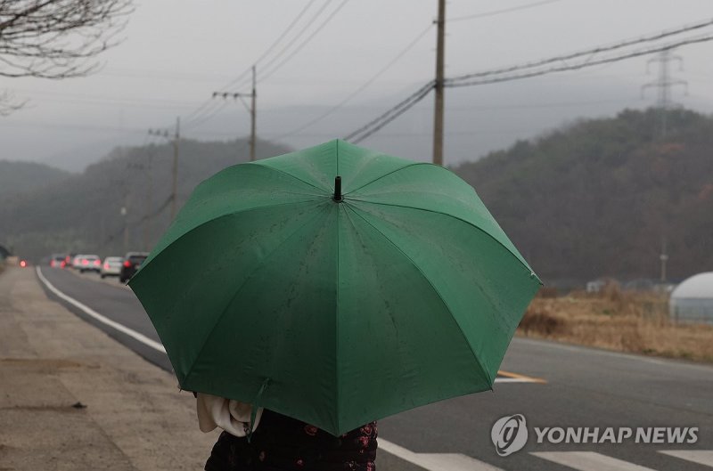 울주 산불 지역에 내리는 단비 (출처=연합뉴스)