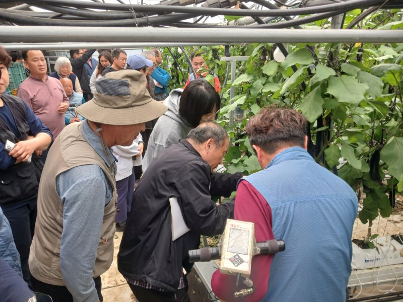 [진주=뉴시스]경남농업기술원, 가지 재배 농업인 품질 향상 교육.(사진=경남농업기술원 제공).2025.03.28.photo@newsis.com *재판매 및 DB 금지