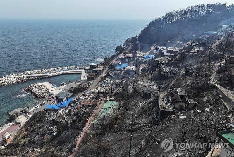 평온한 바닷가 마을 덮친 산불 (출처=연합뉴스)