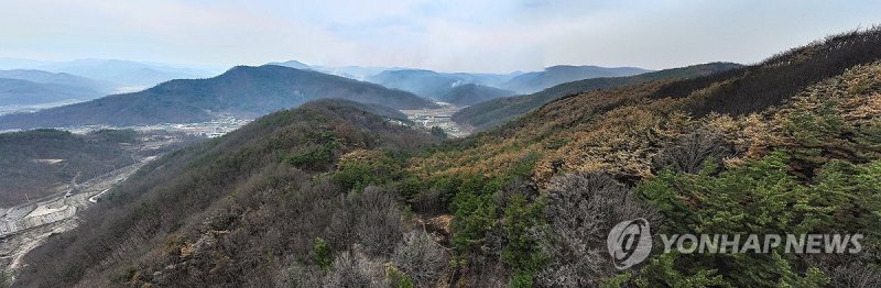 '역대 최악 산불' 최초 발화 지점에서 바라본 피해 상황 (출처=연합뉴스)