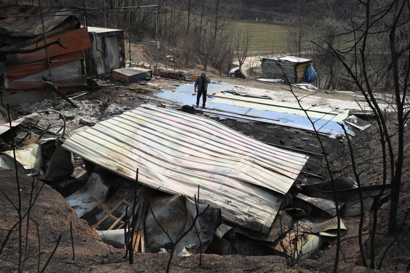 28일 오후 경북 의성군 안평면 석탑리 한 야산에서 8년째 양봉을 해오던 이삼병(69)씨가 산불로 폐허가 된 농막을 살펴보고 있다. 저온창고와 원두막을 비롯해 양봉 원자재와 벌통 등 시설이 불에 타고, 꿀벌 약 2만 마리씩 들어있던 벌통 40개가 훼손돼 약 1억 원의 손해를 입었다. 2025.3.28/뉴스1 ⓒ News1 공정식 기자