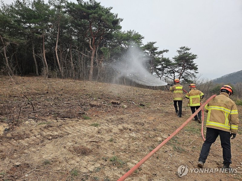 안동 병산서원 산불 방어선 구축하는 소방관들 (출처=연합뉴스)