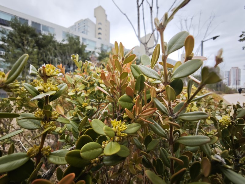 2025.03.28./뉴스1 ⓒNews1 김정현 기자