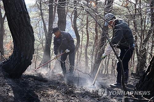'산불 되살아 나지 않게' (출처=연합뉴스)